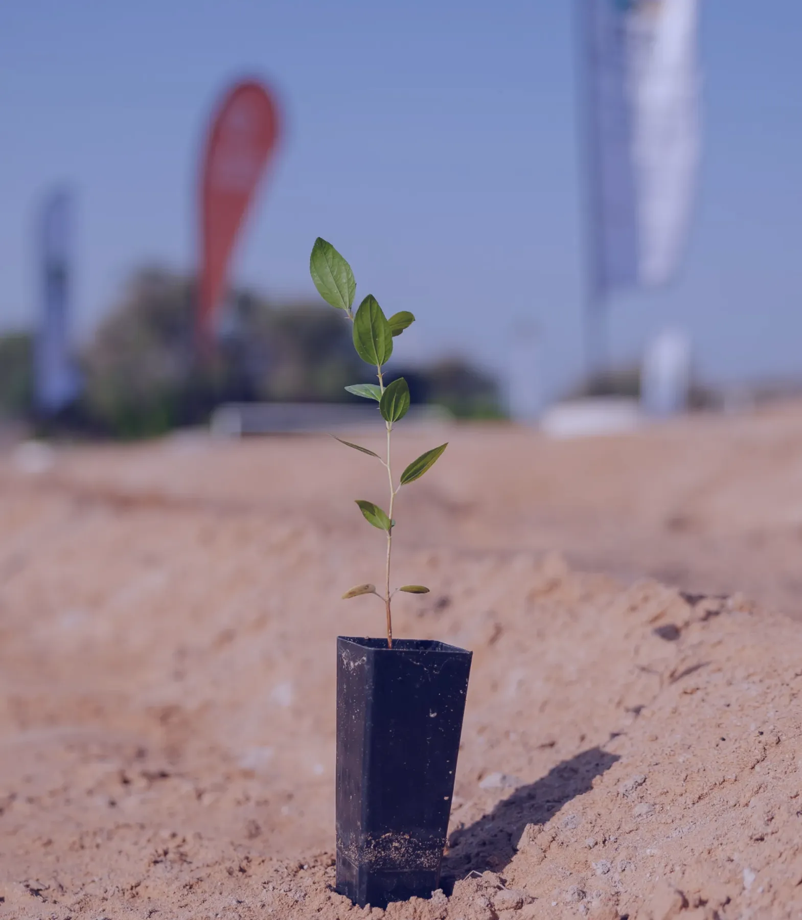 Ducab Group Launches ‘Ducab Plants for Progress’ Initiative to Plant 1,000 Trees in Partnership with Emirates Environmental Group