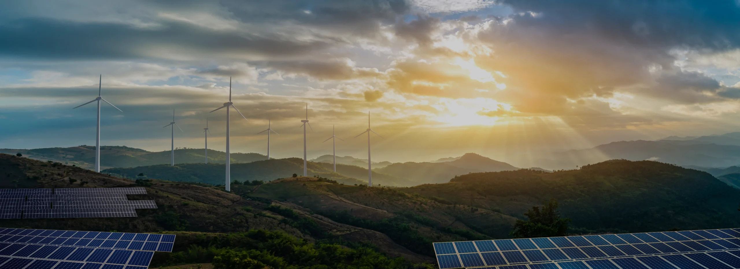 hero-reducing-our-carbon-footprint