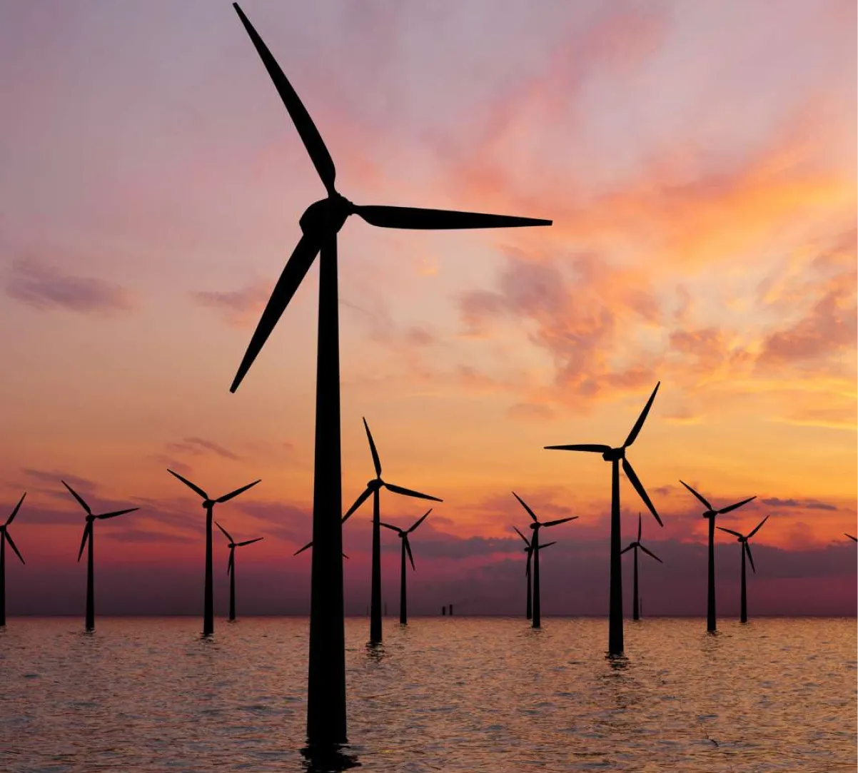 Offshore wind farm at sunset